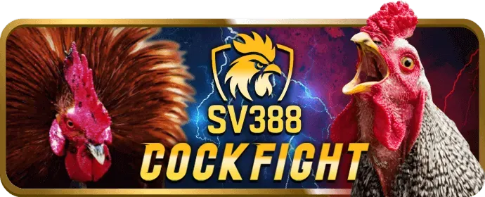 Hỗ trợ khách hàng chuyên nghiệp fi88 win